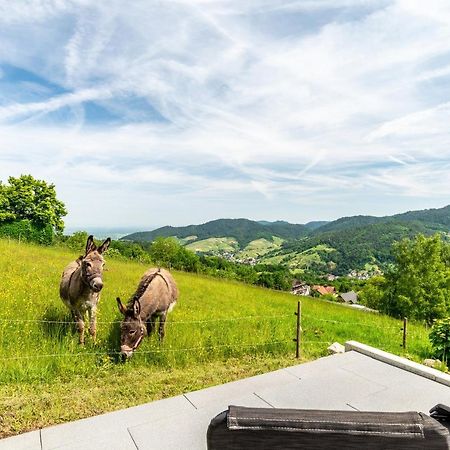 Merzel'S Schone Aussicht Bühlertal Kültér fotó