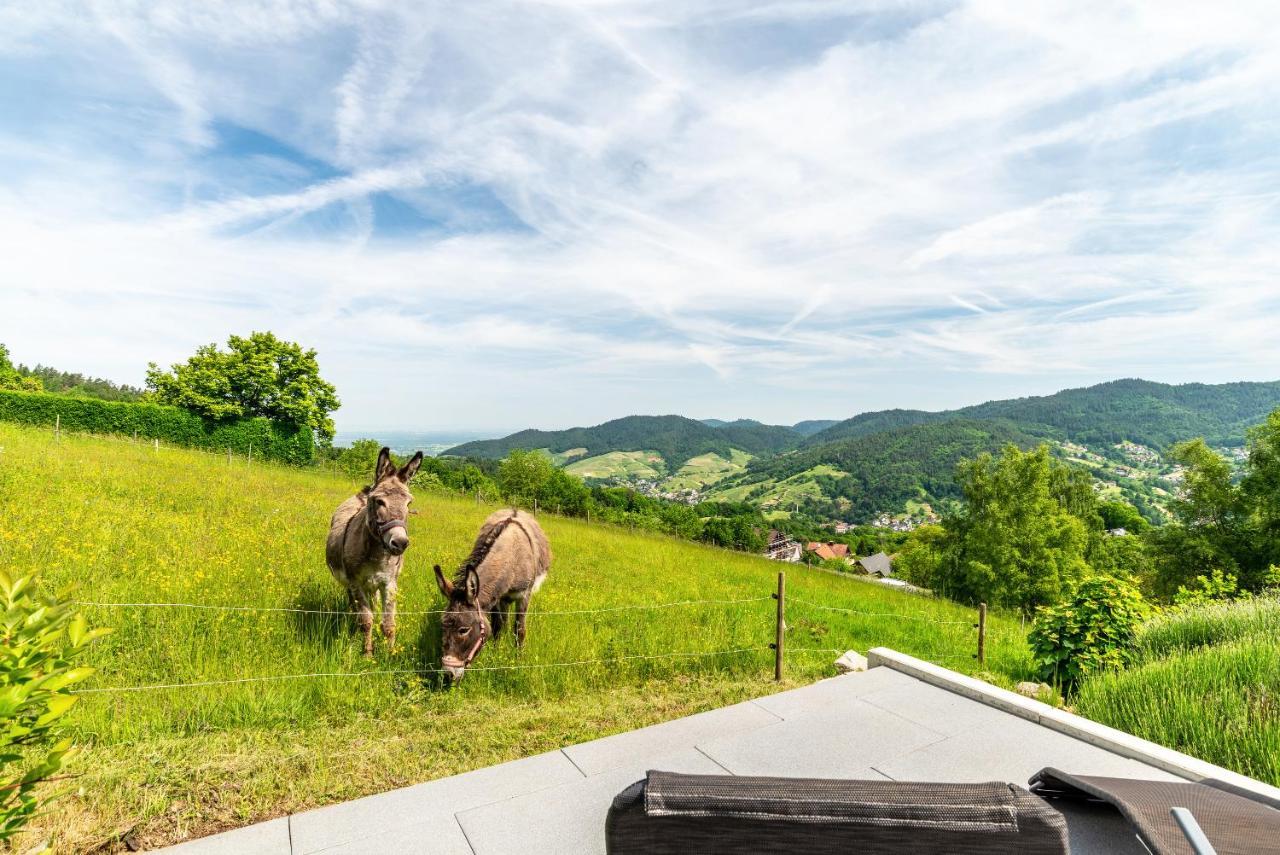 Merzel'S Schone Aussicht Bühlertal Kültér fotó