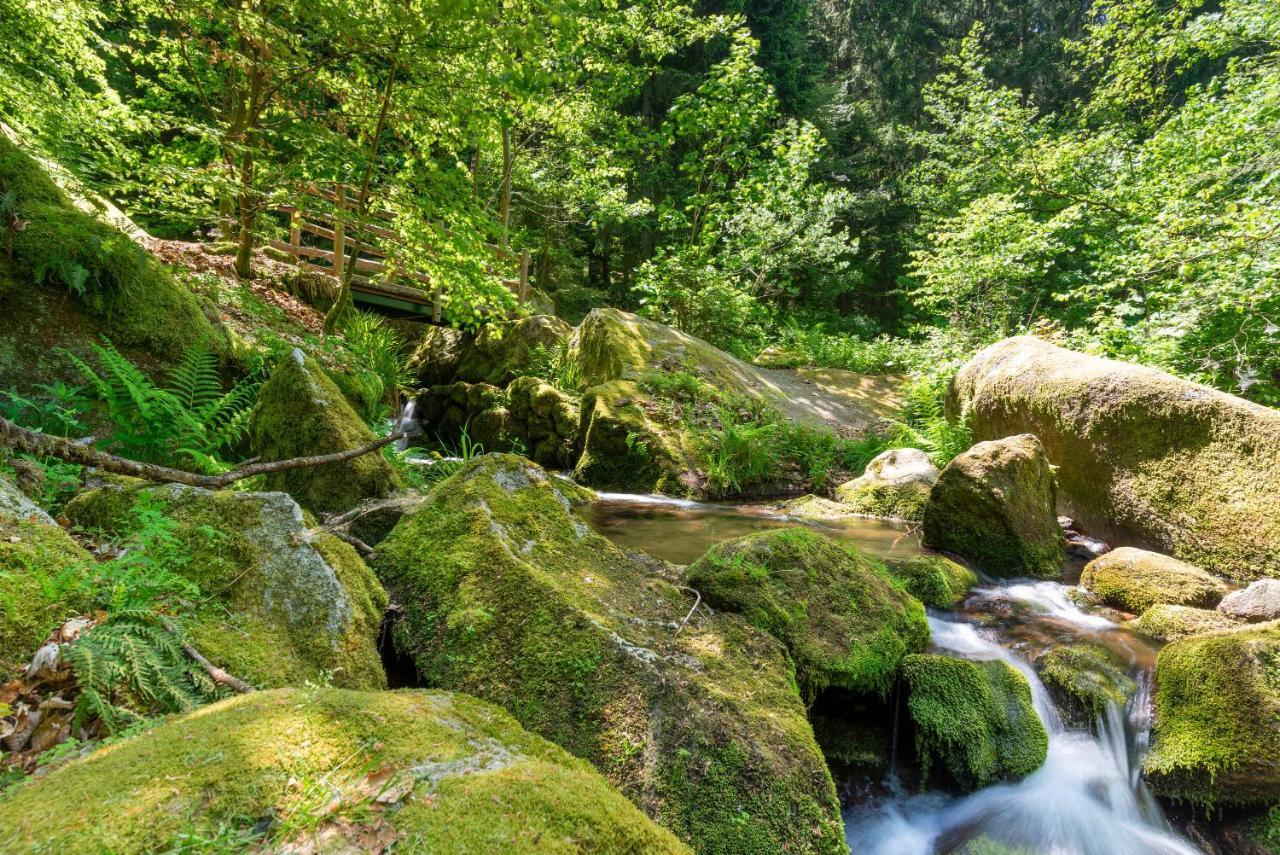 Merzel'S Schone Aussicht Bühlertal Kültér fotó